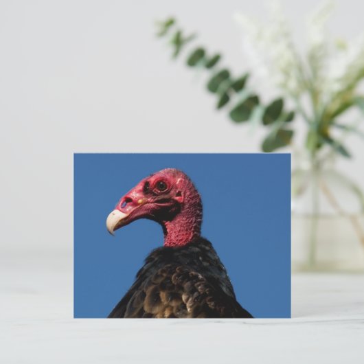 Vulprofiel Briefkaart (Staand voorkant)