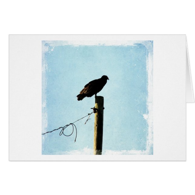 Vulture (Voorkant Horizontaal)