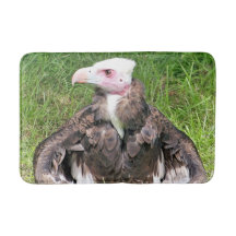 VULTURE