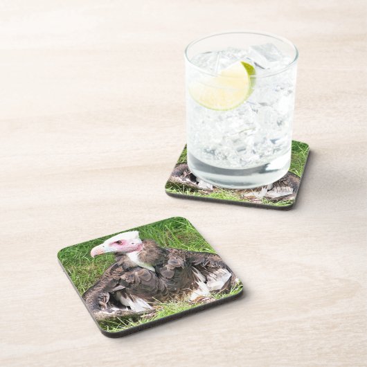 VULTURE BIER ONDERZETTER (Rechterzijde)