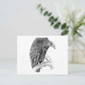 Vulture Bird Realistic Sketch Briefkaart (Staand voorkant)
