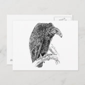 Vulture Bird Realistic Sketch Briefkaart (Voorkant / Achterkant)