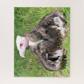 VULTURE BIRD VAN PREY LEGPUZZEL (Verticaal)