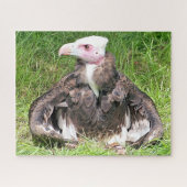 VULTURE BIRD VAN PREY LEGPUZZEL (Horizontaal)