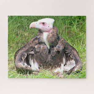VULTURE BIRD VAN PREY LEGPUZZEL