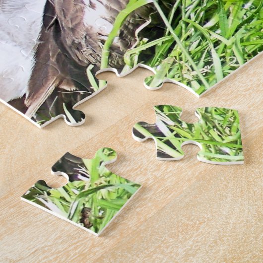 VULTURE BIRD VAN PREY LEGPUZZEL (Zijkant)