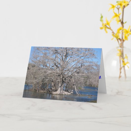 Vulture Birthday-kaart Kaart (Gele Bloem)