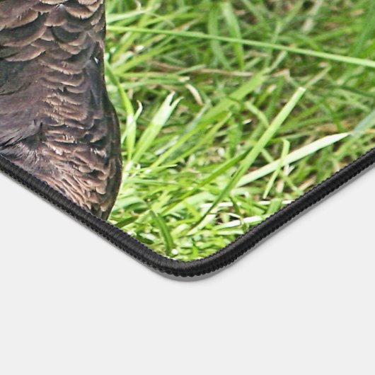 VULTURE BUREAUMAT (Hoek)