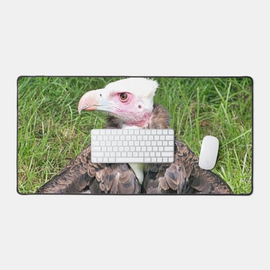 VULTURE BUREAUMAT (Keyboard & Muis)