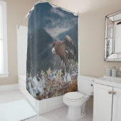 VULTURE DOUCHEGORDIJN (In situ)