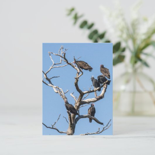 Vulture Family Tree Briefkaart (Staand voorkant)
