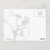 Vulture Family Tree Briefkaart (Achterkant)