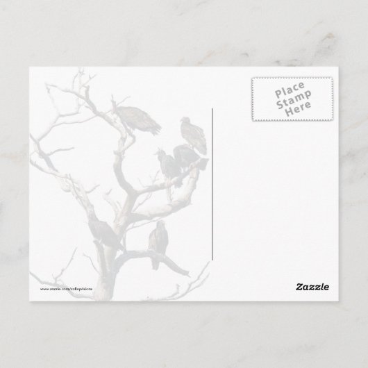 Vulture Family Tree Briefkaart (Achterkant)