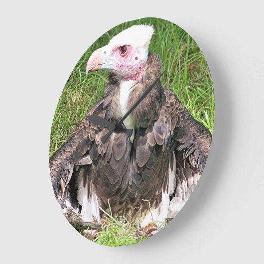 VULTURE GROTE KLOK (Hoek)