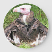 VULTURE GROTE KLOK (Voorkant)