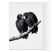 Vulture Honeymoon (Binnen (Links))