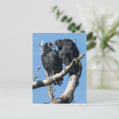 Vulture Honeymoon Briefkaart (Staand voorkant)