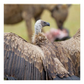 Vulture & Hyena Perfect Poster (Voorkant)