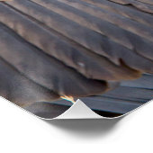 Vulture & Hyena Perfect Poster (Hoek)