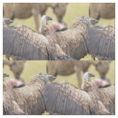 Vulture & Hyena Stof (Close Up)