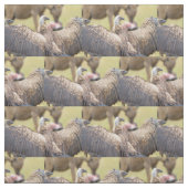 Vulture & Hyena Stof (Swatch)