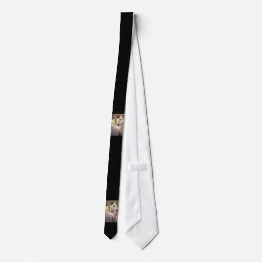 Vulture & Hyena Stropdas (Achterkant)