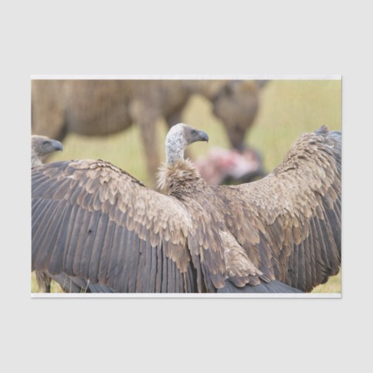 Vulture & Hyena Tissuepapier (Voorkant)