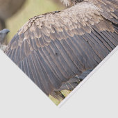 Vulture & Hyena Tissuepapier (Detail)