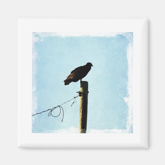 Vulture Magneet (Voorkant)