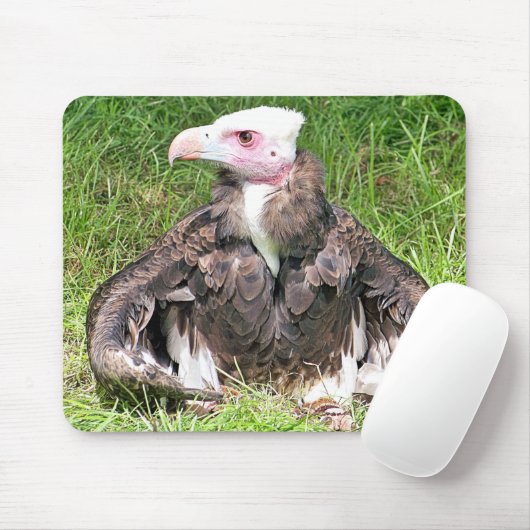 VULTURE MUISMAT (Met muis)