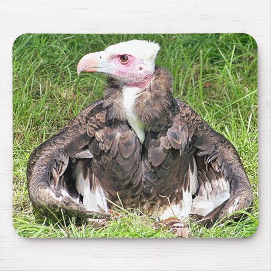VULTURE MUISMAT (Voorkant)