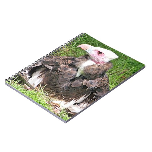 VULTURE NOTITIEBOEK (Linkerzijde)