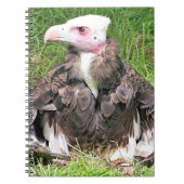 VULTURE NOTITIEBOEK (Voorkant)