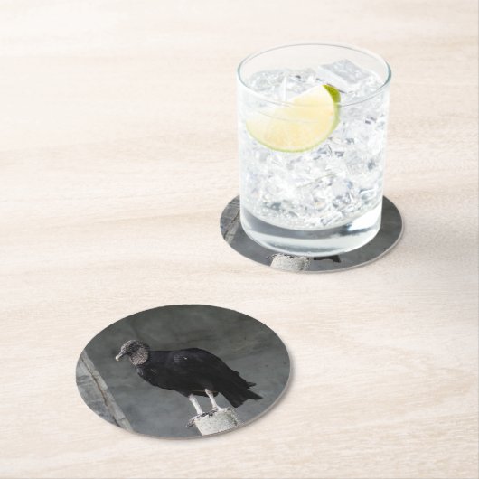 Vulture Pulp Board Onderzetters (Insitu)