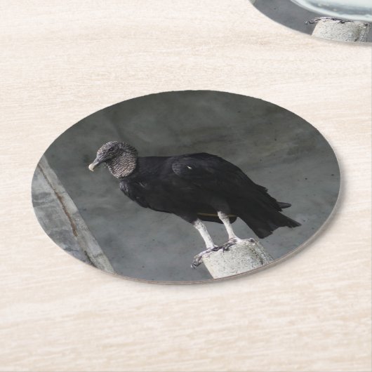 Vulture Pulp Board Onderzetters (Gebogen)