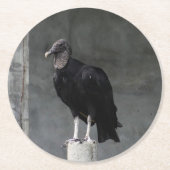 Vulture Pulp Board Onderzetters (Voorkant)