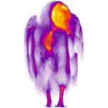 Vulture Sculpture Staand Fotobeeldje<br><div class="desc">Thermografisch afbeelding van een gier</div>