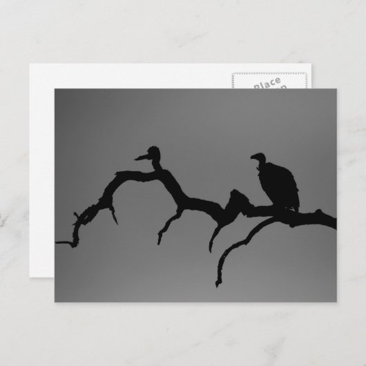Vulture Silhouette Briefkaart (Voorkant / Achterkant)