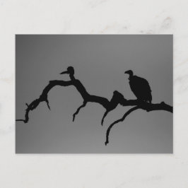 Vulture Silhouette Briefkaart