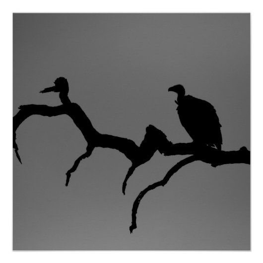 Vulture Silhouette Perfect Poster (Voorkant)