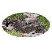 VULTURE SNIJPLANK (Hoek)