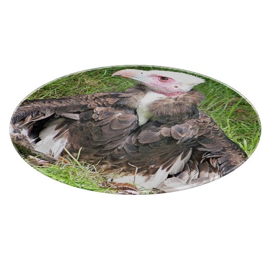 VULTURE SNIJPLANK (Hoek)