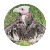 VULTURE SNIJPLANK (Voorkant)