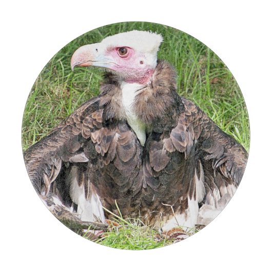 VULTURE SNIJPLANK (Voorkant)