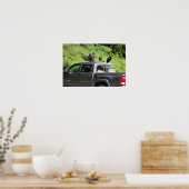Vulturen op een Poster met vrachtwagen (Keuken)