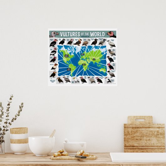 Vulturen van de wereld poster (Keuken)