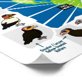 Vulturen van de wereld poster (Hoek)