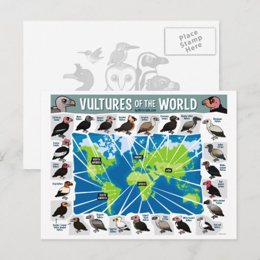 Vulturen van de Wereldkaart Briefkaart (Voorkant / Achterkant)