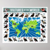 Vulturen van de Wereldkaart Poster (Voorkant)