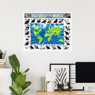 Vulturen van de Wereldkaart Poster